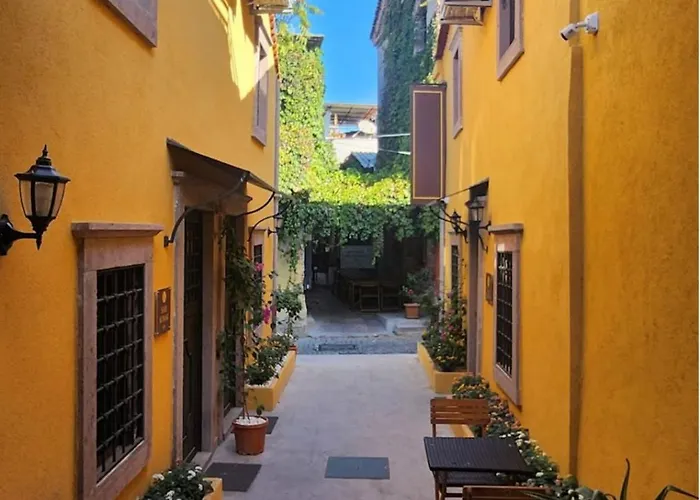 Gæstehus Hanole Macaron