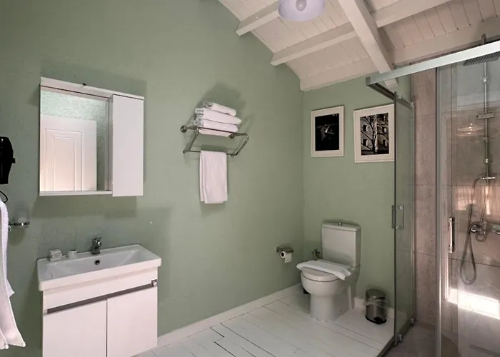 Hanole Macaron Ayvalı